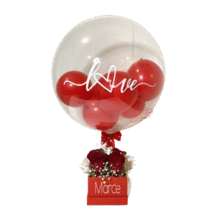 MODELO GLOBO BURBUJA