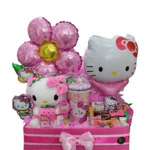 MODELO HELLO KITTY