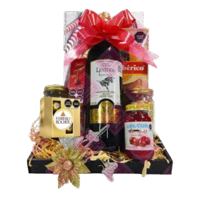 MODELO ARCON NAVIDEÑO