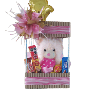 MODELO CUBO DE ACETATO CON PELUCHE